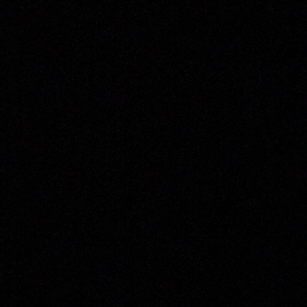 Meet your Posher, Lily